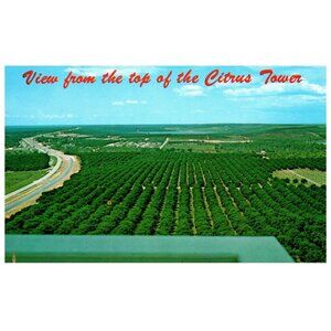 Postcard Orange groves lakes hills U.S. 27 top of Citrus tower Clermont Florida